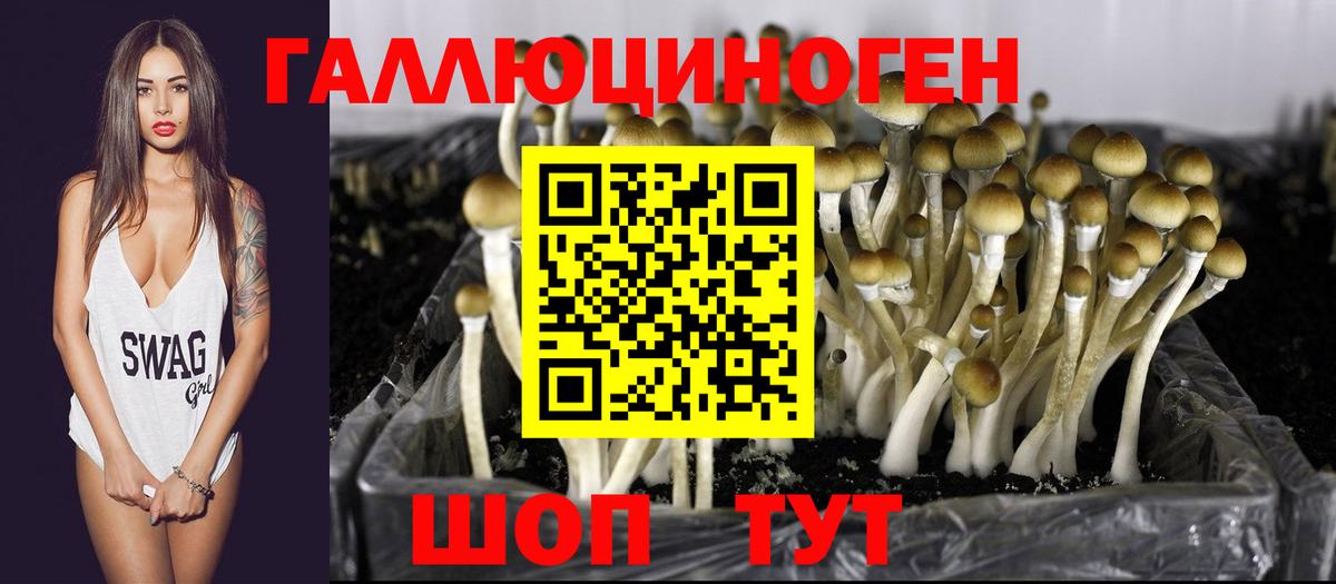 Альфа ПВП СК   Вейп ТГК  Вход с VPN  Кокаин  ГАШ  Купить наркотик  Ноябрьск  Меф МЯУ МЯУ   Бошки Шишки 