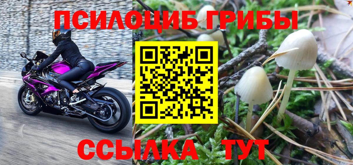 Ноябрьск  Псилоцибиновые грибы мухоморы  Вход с VPN 