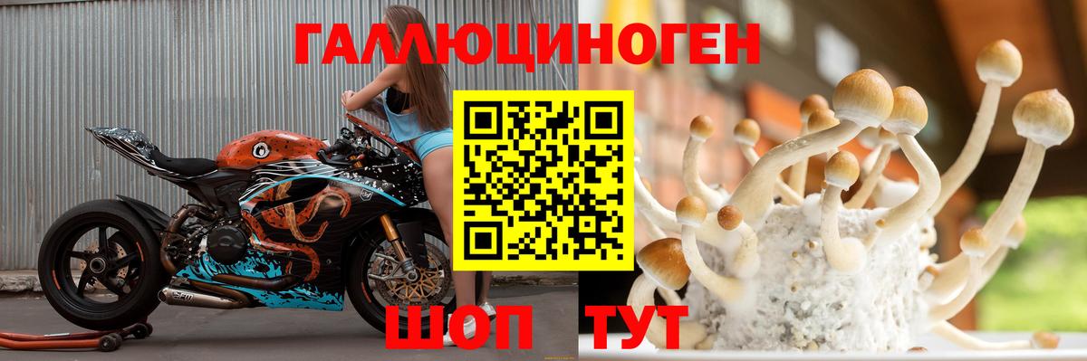 Псилоцибиновые грибы Psilocybine cubensis Ноябрьск